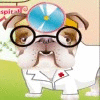 Hra Dr.Bulldog's Pets Hospital