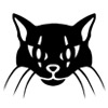 Hra Ghost Towns: The Cats of Ulthar Collector's Edition