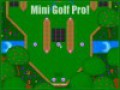 Free download Mini Golf Pro screenshot