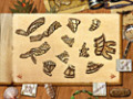 Zdarma stáhnout Paradise Quest screenshot 2