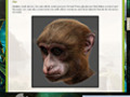 Zdarma stáhnout Return to Mysterious Island 2: Mina's Fate Strategy Guide screenshot 2