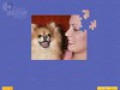 Zdarma stáhnout Super Jigsaw Puppies screenshot 1