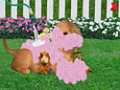 Zdarma stáhnout Wonder Pets Save the Puppy screenshot 2