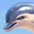 101 Dolphinpets