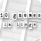 Hra 10 Gnomes in Liege