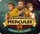 Hra 12 Labours of Hercules VII: Fleecing the Fleece