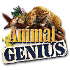 Hra Animal Genius