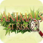 Hra Animals At Risk