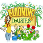 Hra Blooming Daisies
