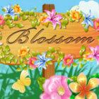 Hra Blossom