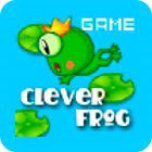 Hra Clever Frog
