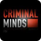 Hra Criminal Minds