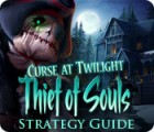 Hra Curse at Twilight: Thief of Souls Strategy Guide