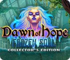 Hra Dawn of Hope: The Frozen Soul Collector's Edition