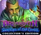 Hra Dreampath: Guardian of the Forest Collector's Edition