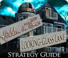 Hra Hidden in Time: Looking-glass Lane Strategy Guide