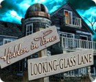 Hra Hidden in Time: Looking-glass Lane