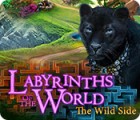 Hra Labyrinths of the World: The Wild Side