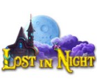 Hra Lost in Night