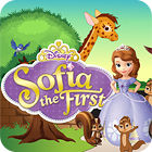 Hra Princess Sofia The First: Zoo