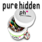 Hra Pure Hidden