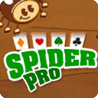 Hra Spider Pro