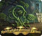 Hra Spirit of the Ancient Forest