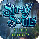 Hra Stray Souls: Stolen Memories