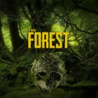 Hra The Forest