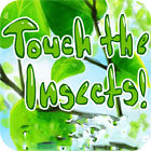 Hra Touch the Insects
