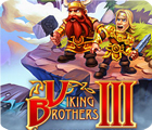 Hra Viking Brothers 3 Collector's Edition