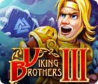 Hra Viking Brothers 3