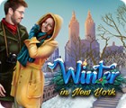 Hra Winter in New York
