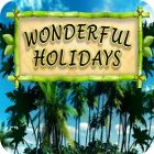 Hra Wonderful Holidays