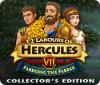 Hra 12 Labours of Hercules VII: Fleecing the Fleece Collector's Edition