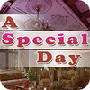 Hra A Special Day