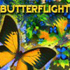 Hra Butterflight