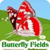 Hra Butterfly Fields