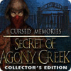 Hra Cursed Memories: The Secret of Agony Creek Collector's Edition