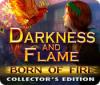 Hra Darkness and Flame: Born of Fire Collector's Edition