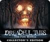 Hra Dreadful Tales: The Fire Within Collector's Edition