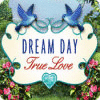 Hra Dream Day True Love