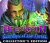 Hra Dreampath: Guardian of the Forest Collector's Edition