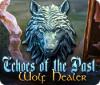Hra Echoes of the Past: Wolf Healer