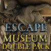 Hra Escape the Museum Double Pack