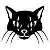 Hra Města duchů: Ultharské kočky – Sběratelská edice