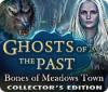 Hra Ghosts of the Past: Bones of Meadows Town Collector's Edition