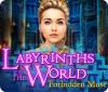 Hra Labyrinths of the World: Forbidden Muse