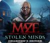Hra Maze: Stolen Minds Collector's Edition