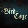 Hra Of bird and cage